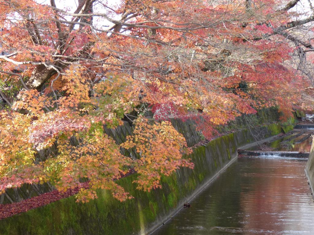 Saizen Matsumuro Stay Kyōto Exterior foto