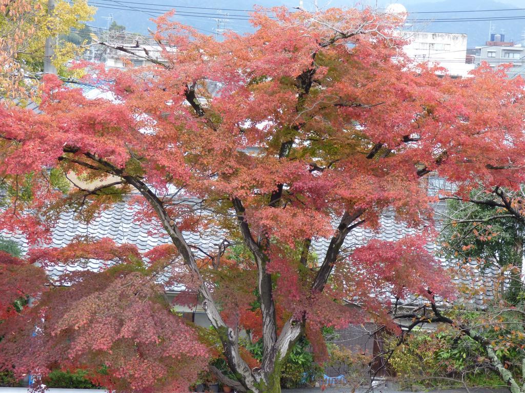 Saizen Matsumuro Stay Kyōto Exterior foto