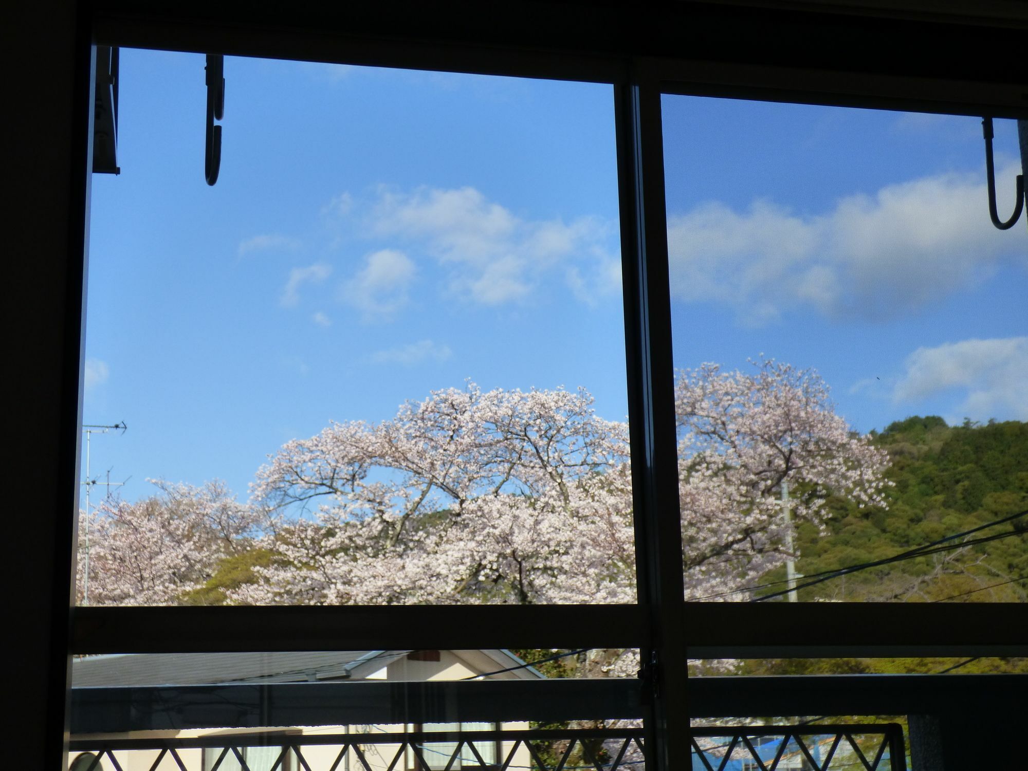 Saizen Matsumuro Stay Kyōto Exterior foto
